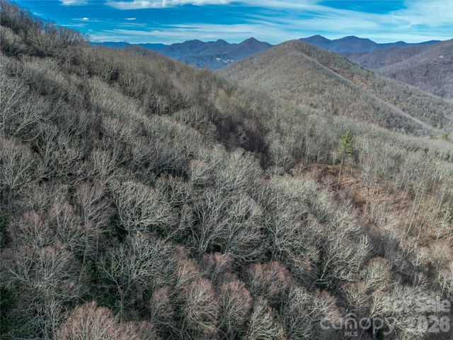 99999 High Top Mountain Road, Leicester, NC 28748