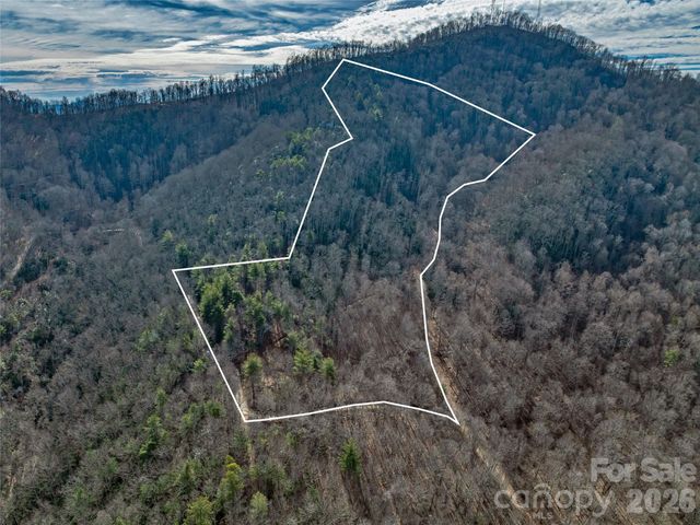 99999 High Top Mountain Road, Leicester, NC 28748