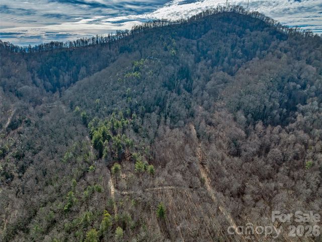 99999 High Top Mountain Road, Leicester, NC 28748