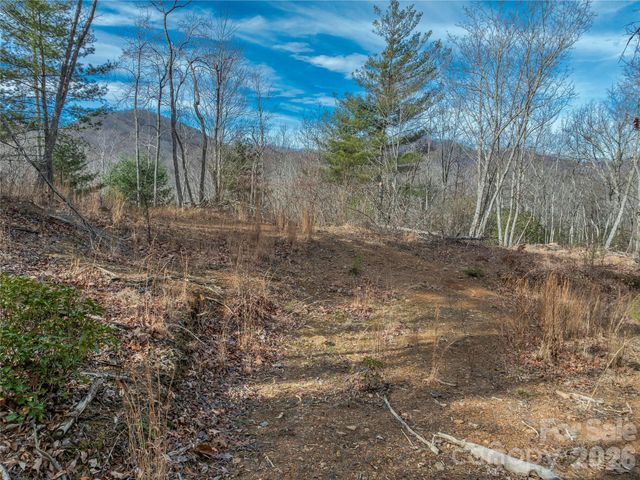 99999 High Top Mountain Road, Leicester, NC 28748