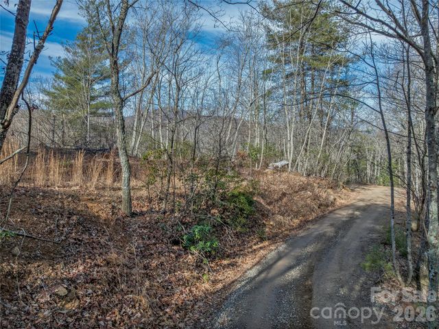 99999 High Top Mountain Road, Leicester, NC 28748