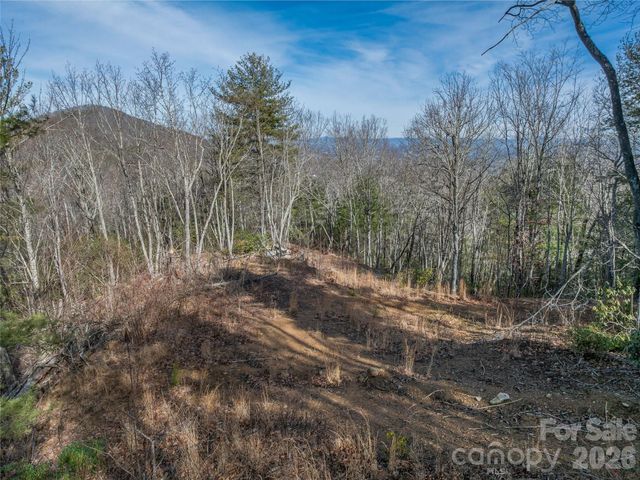 99999 High Top Mountain Road, Leicester, NC 28748
