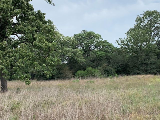 276 Ott RD, Rosanky, TX 78953