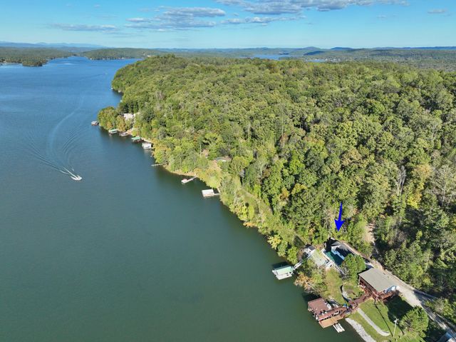 341 Clearwater Drive, Spring City, TN 37381
