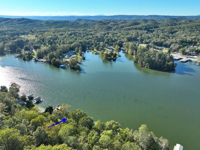 341 Clearwater Drive, Spring City, TN 37381