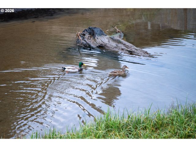 1801 Nw DOLPHIN Ln, Waldport, OR 97394