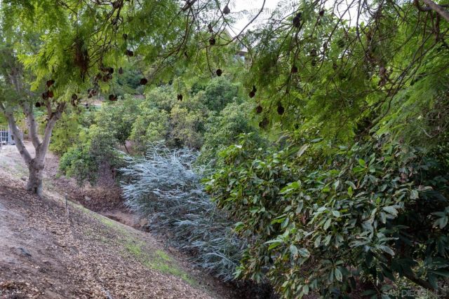 1609 Santa Margarita Drive, Fallbrook, CA 92028