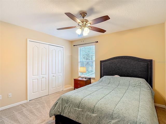 12516 STREAMDALE DRIVE, Tampa, FL 33626