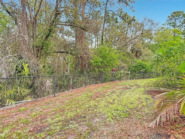 12516 STREAMDALE DRIVE, Tampa, FL 33626