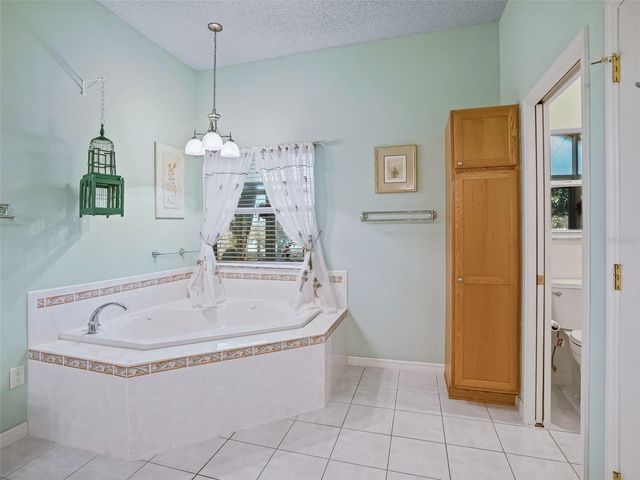 1311 CAROLINA COURT, The Villages, FL 32162