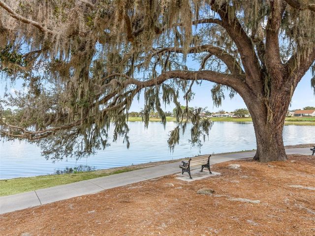 1311 CAROLINA COURT, The Villages, FL 32162