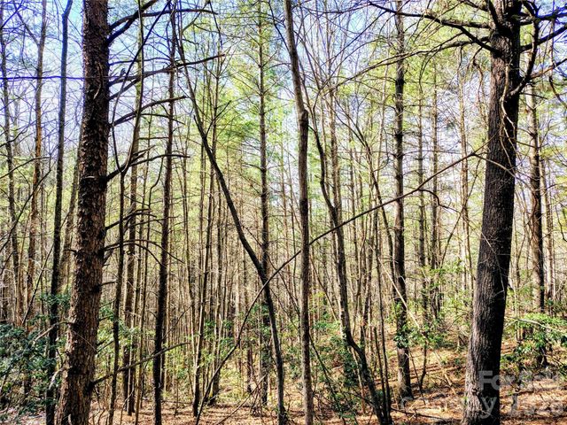 10 Acres Tahoe Trail, Collettsville, NC 28611