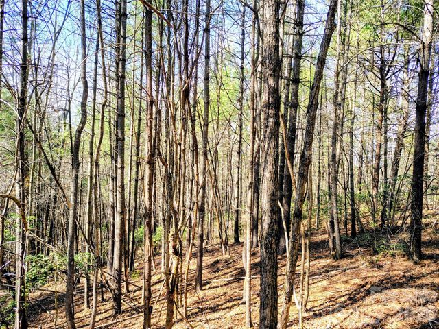 10 Acres Tahoe Trail, Collettsville, NC 28611