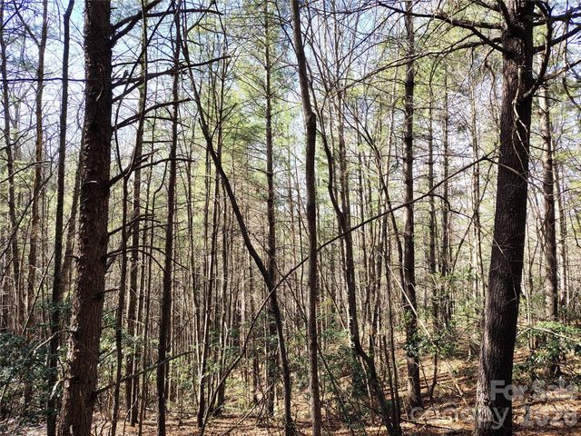 10 Acres Tahoe Trail, Collettsville, NC 28611