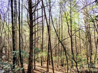 10 Acres Tahoe Trail, Collettsville, NC 28611