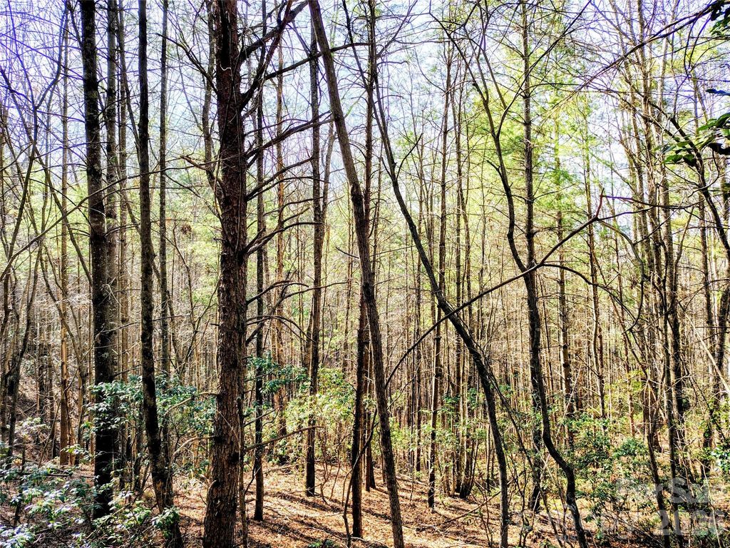 10 Acres Tahoe Trail, Collettsville, NC 28611