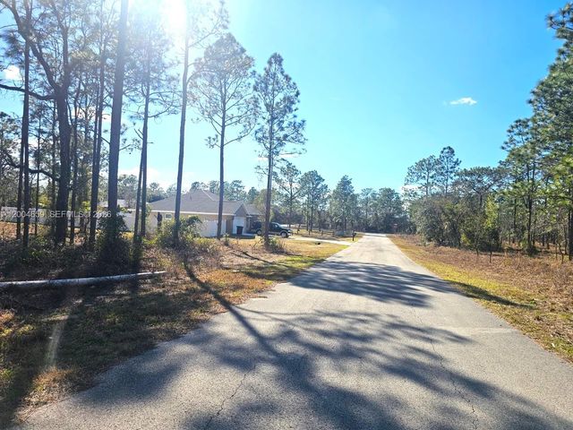 NO Situs NW No Situs Shamrock Avenue, Dunnellon, FL 34431