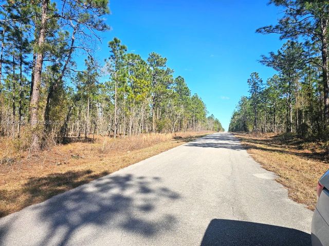NO Situs NW No Situs Shamrock Avenue, Dunnellon, FL 34431