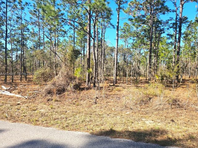 NO Situs NW No Situs Shamrock Avenue, Dunnellon, FL 34431