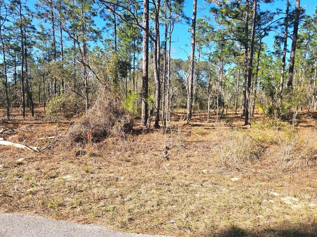 NO Situs NW No Situs Shamrock Avenue, Dunnellon, FL 34431