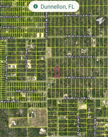 NO Situs NW No Situs Shamrock Avenue, Dunnellon, FL 34431