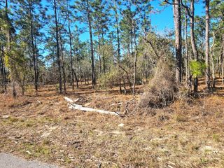 NO Situs NW No Situs Shamrock Avenue, Dunnellon, FL 34431