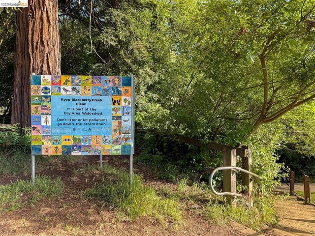 1011 Pomona Ave, Albany, CA 94706