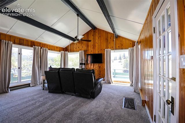 731 Midland Court, Lake George, CO 80827