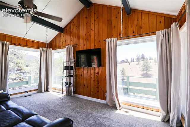 731 Midland Court, Lake George, CO 80827