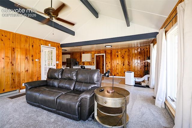 731 Midland Court, Lake George, CO 80827