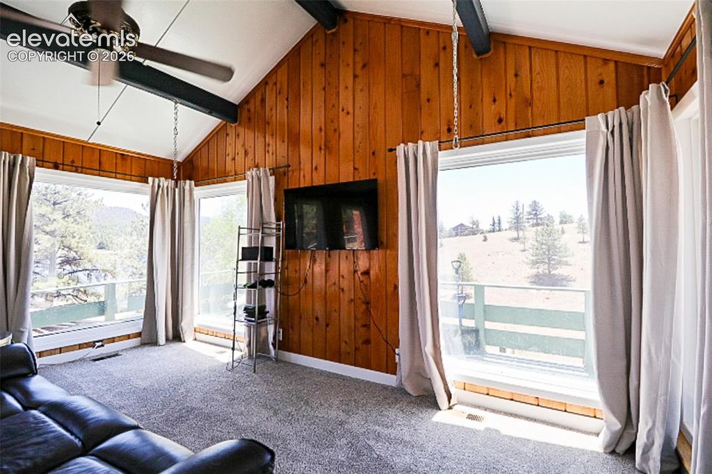 731 Midland Court, Lake George, CO 80827 — photo 4