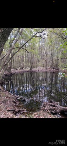 212 Johnson Park Road, Chesterfield, SC 29709