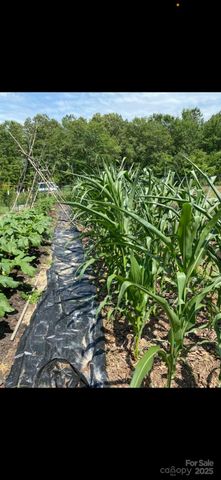 212 Johnson Park Road, Chesterfield, SC 29709