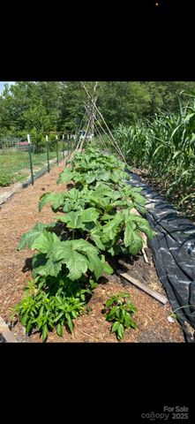 212 Johnson Park Road, Chesterfield, SC 29709