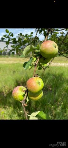 212 Johnson Park Road, Chesterfield, SC 29709