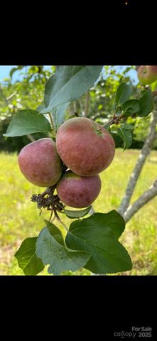 212 Johnson Park Road, Chesterfield, SC 29709