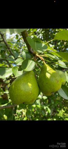 212 Johnson Park Road, Chesterfield, SC 29709