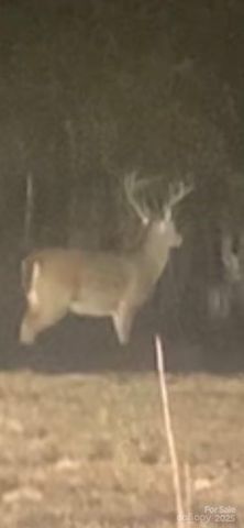 212 Johnson Park Road, Chesterfield, SC 29709