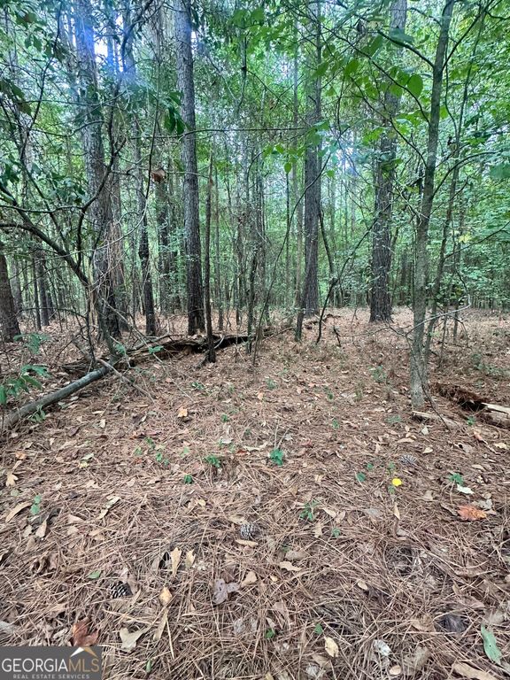 1521 Cordele Road, Bowman, GA 30624 — photo 2