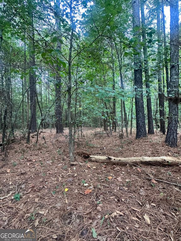 1521 Cordele Road, Bowman, GA 30624 — photo 3