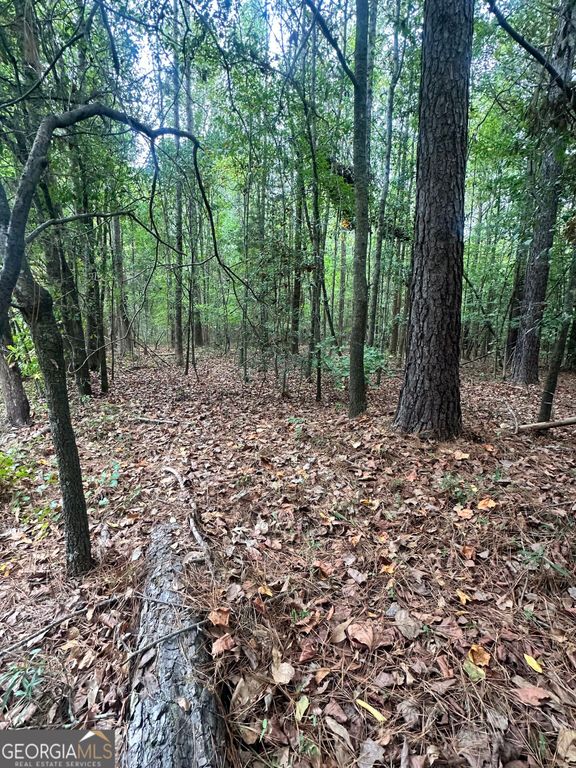 1521 Cordele Road, Bowman, GA 30624 — photo 4