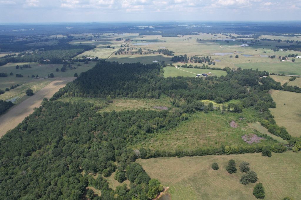 TBD W FM 1662, Laneville, TX 75667