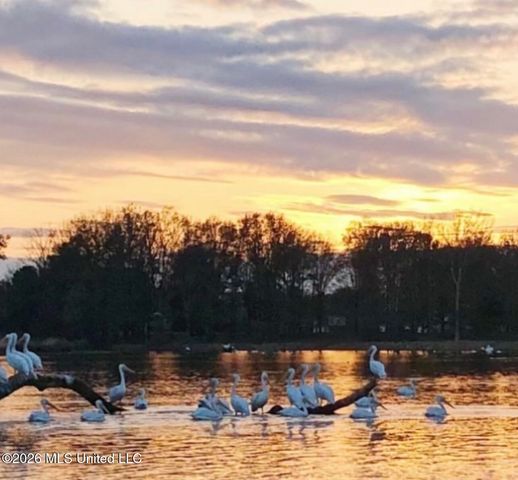 200 Herons Bay Circle, Madison, MS 39110