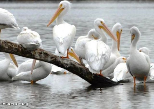 200 Herons Bay Circle, Madison, MS 39110