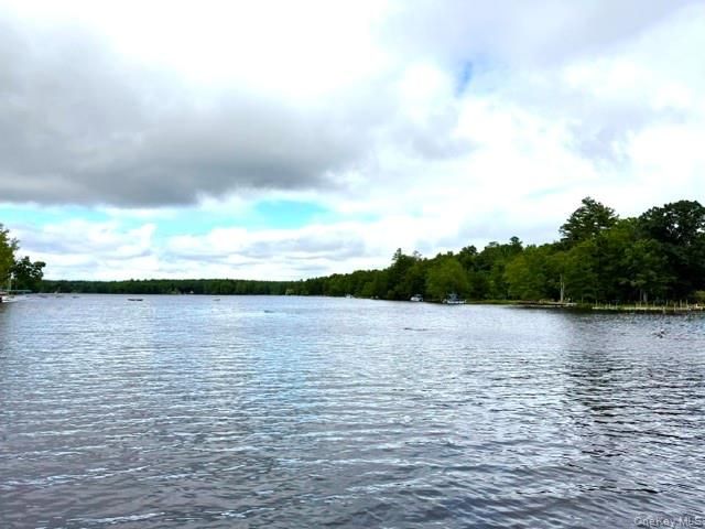 179 W Mohican Trail, Glen Spey, NY 12737