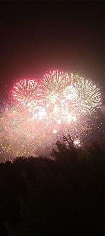 1304 W Dallas, Houston, TX 77019