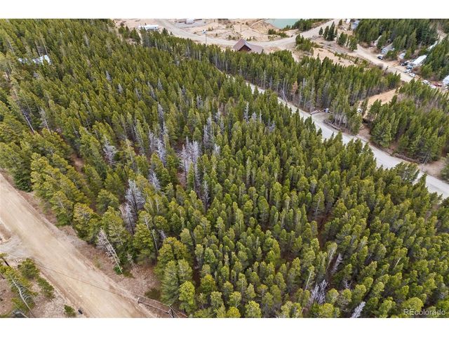 703 Texas Dr, Idaho Springs, CO 80452