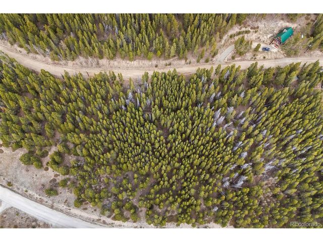 703 Texas Dr, Idaho Springs, CO 80452