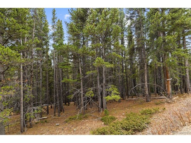 703 Texas Dr, Idaho Springs, CO 80452