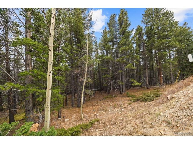 703 Texas Dr, Idaho Springs, CO 80452